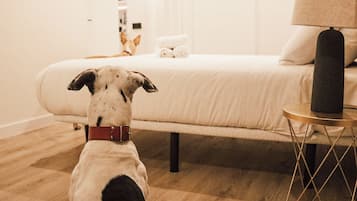 1 bedroom, premium bedding, down comforters, laptop workspace