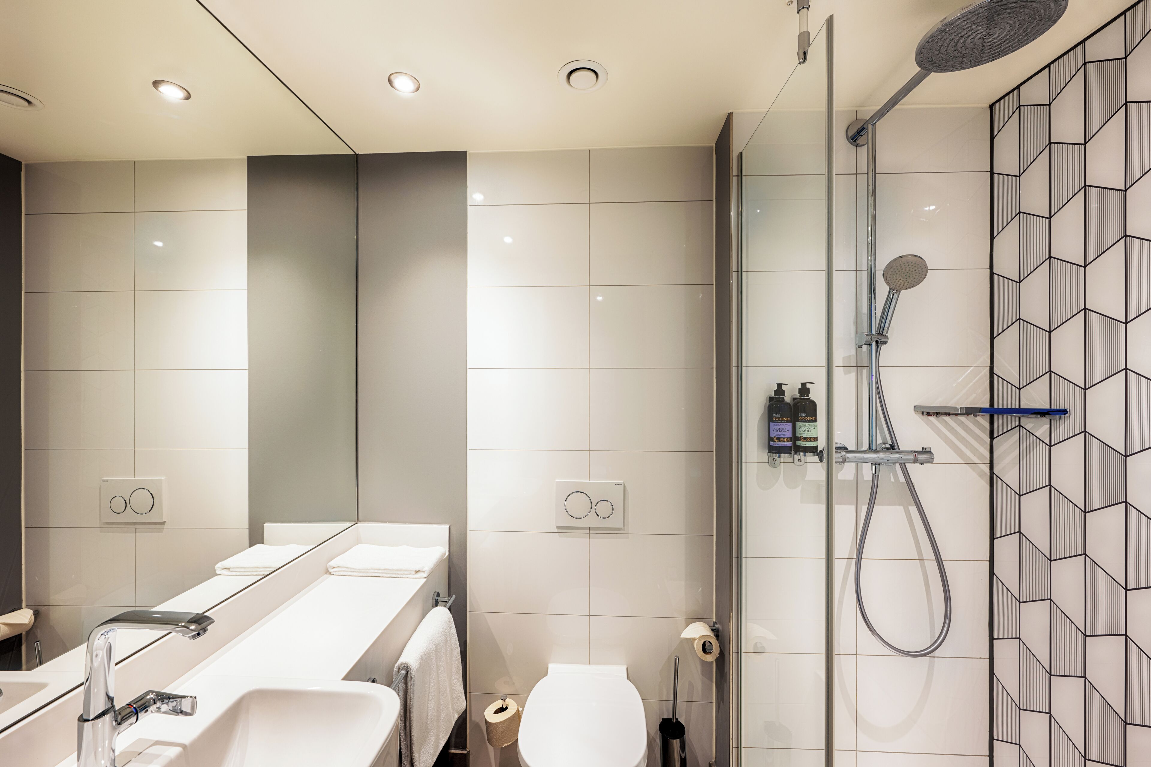 Habitación doble superior | Baño | Secador de pelo, toallas, jabón y papel higiénico