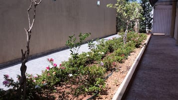 Vista desde la habitación