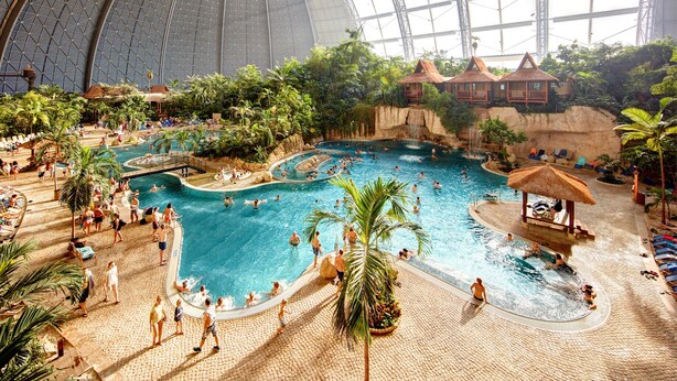 Una piscina interior con varias pistas, rodeada de palmeras y plantas tropicales.