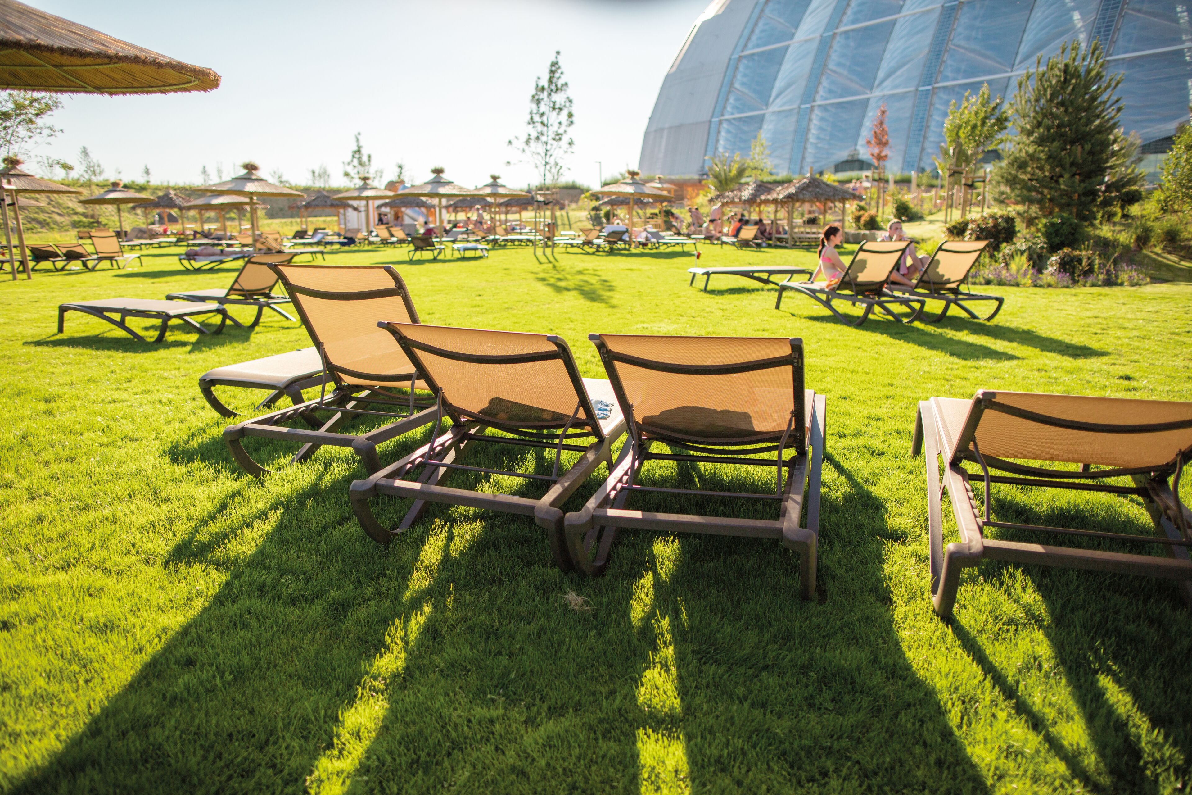 A sunny outdoor area with lawn chairs and umbrellas, a large glass building in the background, and a well-maintained lawn.