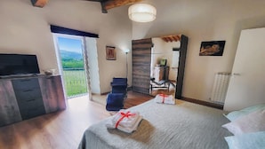 Un dormitorio con cama, televisor, armario, una silla y vista al exterior.