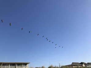 Exterior - Ocean Front Condo! (North Myrtle Beach)