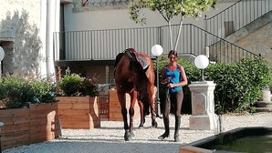 A horse and rider in an outdoor arena with wooden planters and a stone fountain.