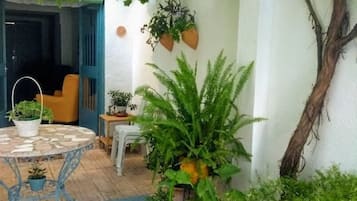 Terraza o patio