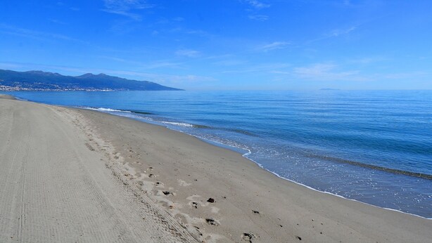 A beach with a clear sky and calm sea. - "A CUSTOM NEST by the sea! " (Lucciana)