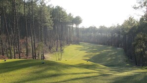 A golf course with a well-maintained fairway, surrounded by tall trees.
