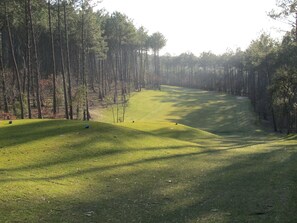 Golf - Charming, well-equipped cottage, 6 for pers. at 5 km from the beach (Mimizan)