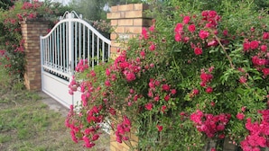 A gated entrance with a brick wall and a metal gate.