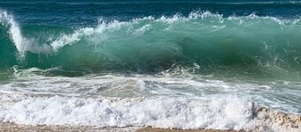 Charming house with large enclosed garden, at the foot of the dunes â 4 km from the ocean