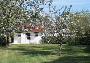 Property grounds - Charming, well-equipped cottage, 6 for pers. at 5 km from the beach (Mimizan)