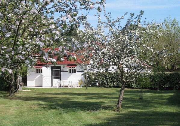 Une maison blanche avec un toit rouge, entourée d’une pelouse bien entretenue et d’arbres en fleurs.