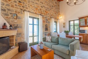 Televisión, chimenea, reproductor de DVD y libros