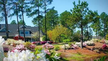 Villa, 2 Bedrooms | Property grounds