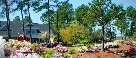 Condo, 1 Bedroom | Property grounds