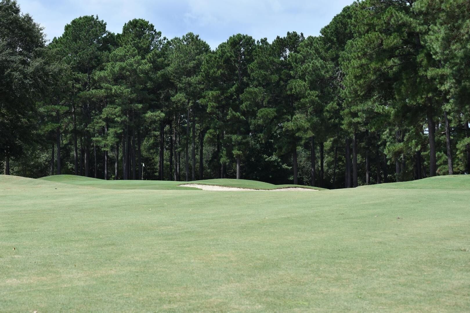 A golf course with a well-maintained fairway, sand bunkers, and tall pine trees in the background.