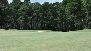 A golf course with a well-maintained fairway, sand bunkers, and tall pine trees in the background.