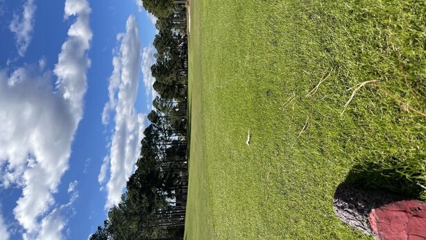 A golf course with a clear sky and trees in the background. - 2705 2 Bedroom Villa by RedAwning (Calabash)