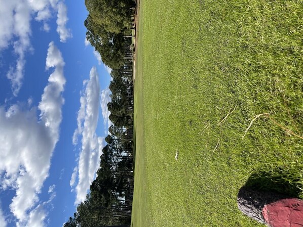 Un campo de golf con cielo despejado y árboles al fondo.