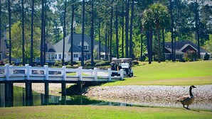 Un parcours de golf avec un pont blanc, un étang et un oie.