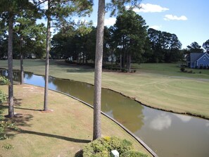 Condo, 1 Bedroom | Golf