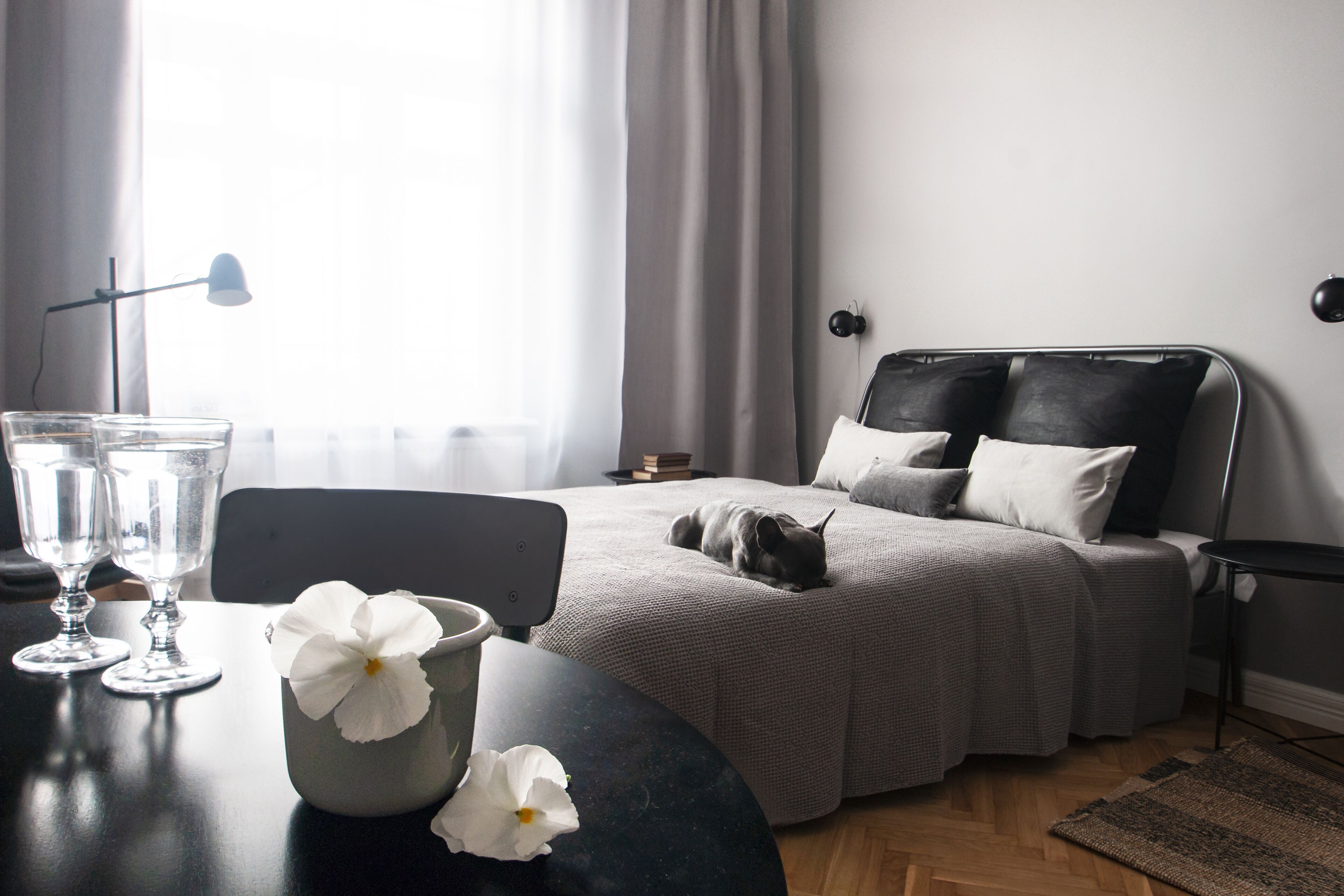 Studio | Skrivebord, skrivebord for bærbar PC og blendingsgardiner