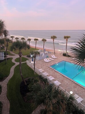 Palm tree lined property

 - BOUTIQUE OCEANFRONT PENTHOUSE CHARM- WITH EXPANSIVE PRIVATE TERRACE (Ormond Beach)