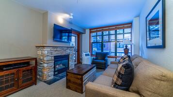 TV, fireplace, DVD player