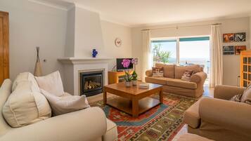 Smart TV, fireplace, books