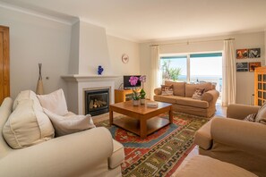 Smart TV, fireplace, books