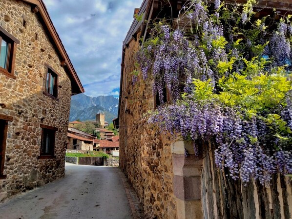 Exterior - Apartamentos la Ventana de Mogrovejo (Camaleno)