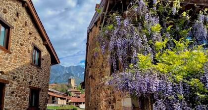 Apartamentos la Ventana de Mogrovejo