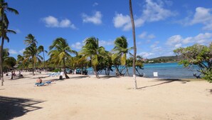 A beach with palm trees, clear blue sky, and turquoise water. - Sapphire Dominica-Gorgeous View Walk to beach (St Thomas)