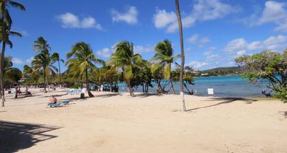 Sapphire Dominica- Gorgeous Views, Walk to beach. Washer/Dryer in unit.