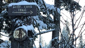 Um sinal de madeira indica 'Lost Lake Trail' apontando para a direita, cercado por árvores cobertas de neve.