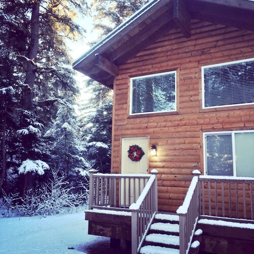 Aurora Skies Lodging - Private Cabin with Open Loft Bedroom - Sleeps 3-6