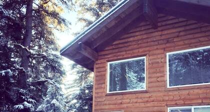 Aurora Skies Lodging - Private Cabin with Open Loft Bedroom - Sleeps 3-6