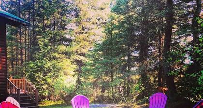 Aurora Skies Lodging - Private Cabin with Open Loft Bedroom - Sleeps 3-6