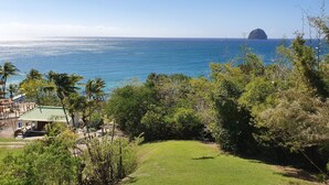 A coastal view with a grassy area, palm trees, and a small building with a green roof.