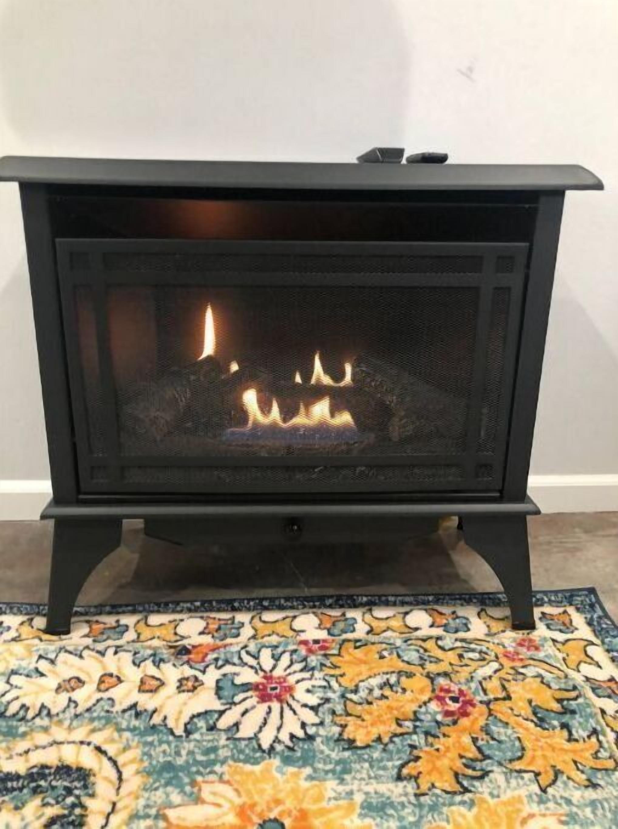 A black wood-burning stove with a fire burning inside, placed on a patterned rug.