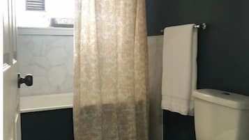 Combined shower/bathtub, hair dryer, towels, soap