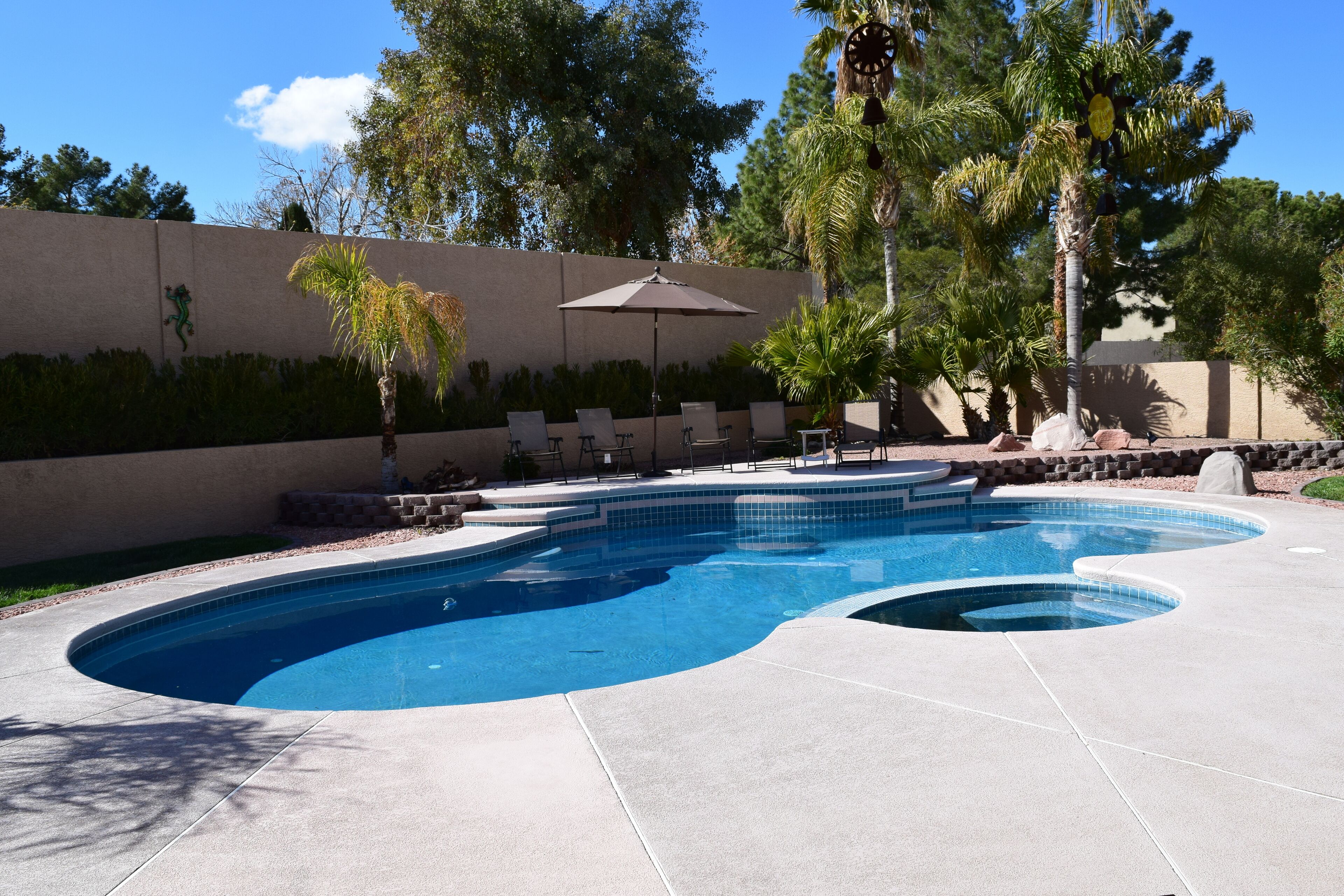 A swimming pool with a curved design, surrounded by a concrete deck and a low wall with a decorative pattern.
