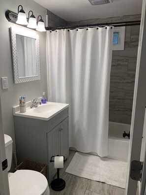 Bañera con ducha, secador de pelo, papel higiénico