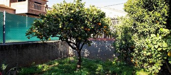The Orange Lemon Tree House by Florit Flats