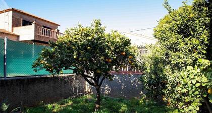 The Orange Lemon Tree House by Florit Flats