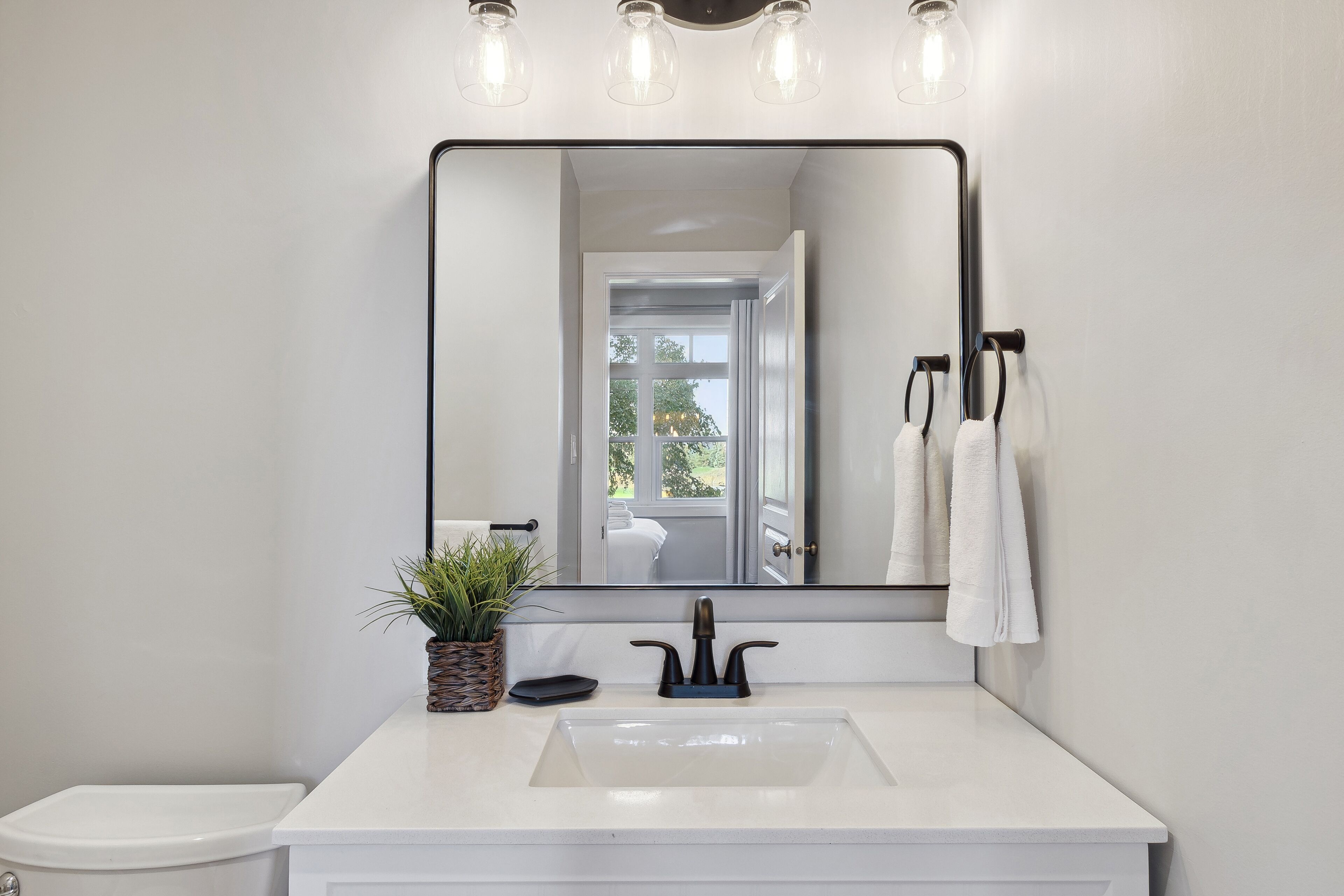 A bathroom with a white sink, a mirror, and a potted plant.