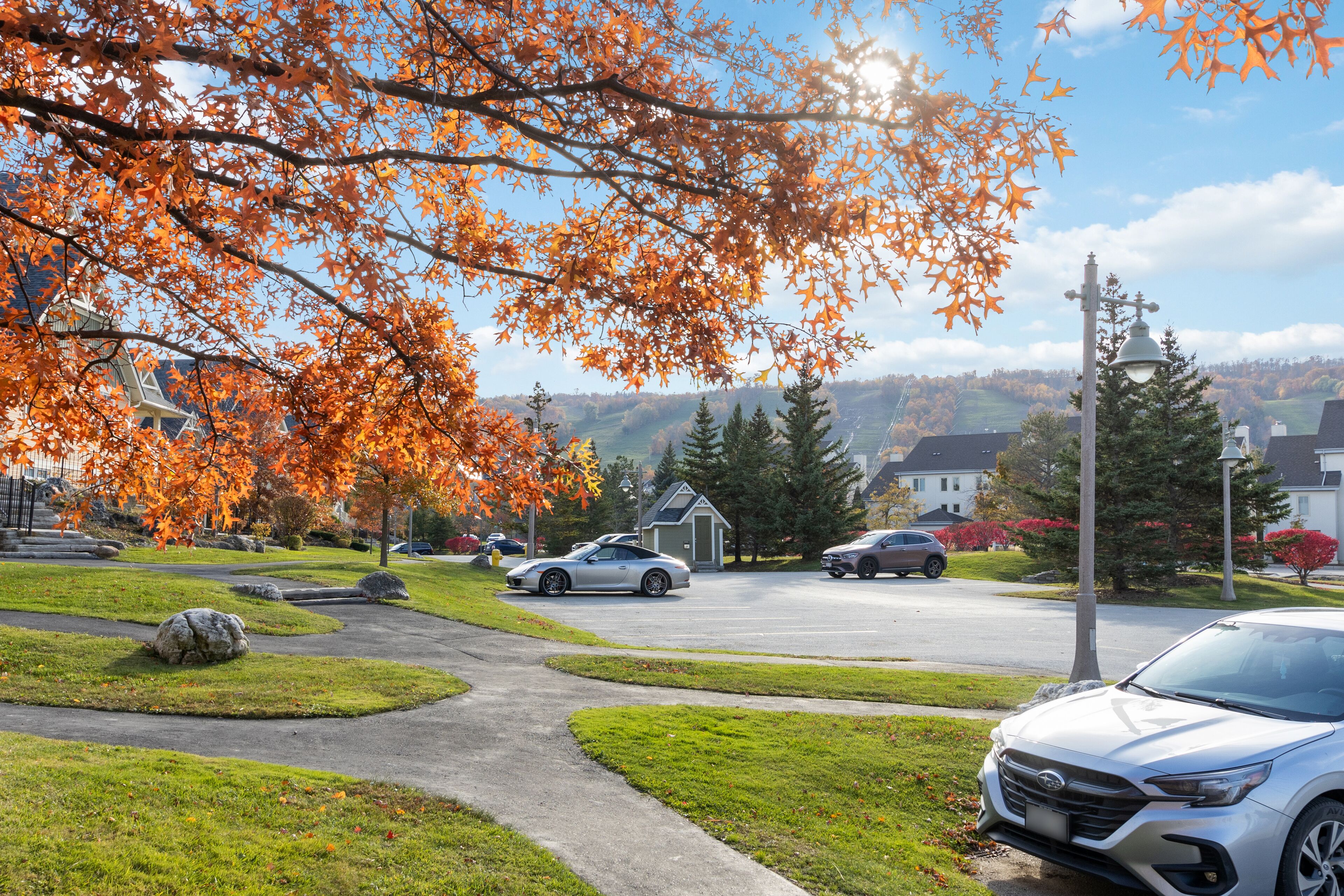 Une rue de banlieue bordée d’arbres aux feuilles d’automne, une petite maison et des voitures garées.