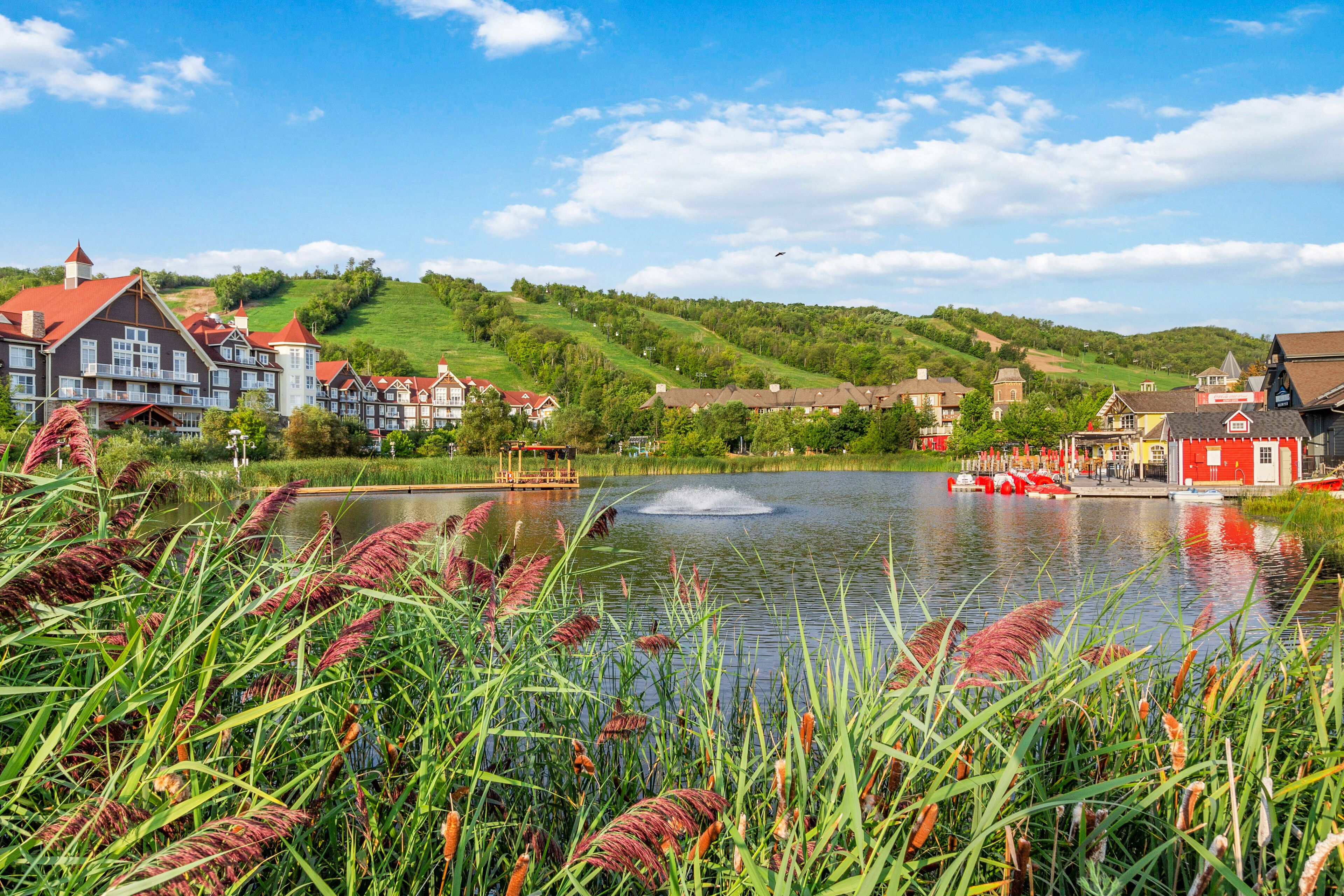 A lakeside view with traditional European architecture, a pond with a fountain, and surrounding greenery.