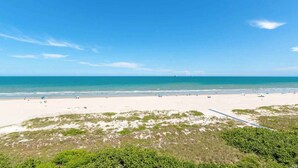 Uma praia com céu claro, areal arenoso e vegetação rasteira.