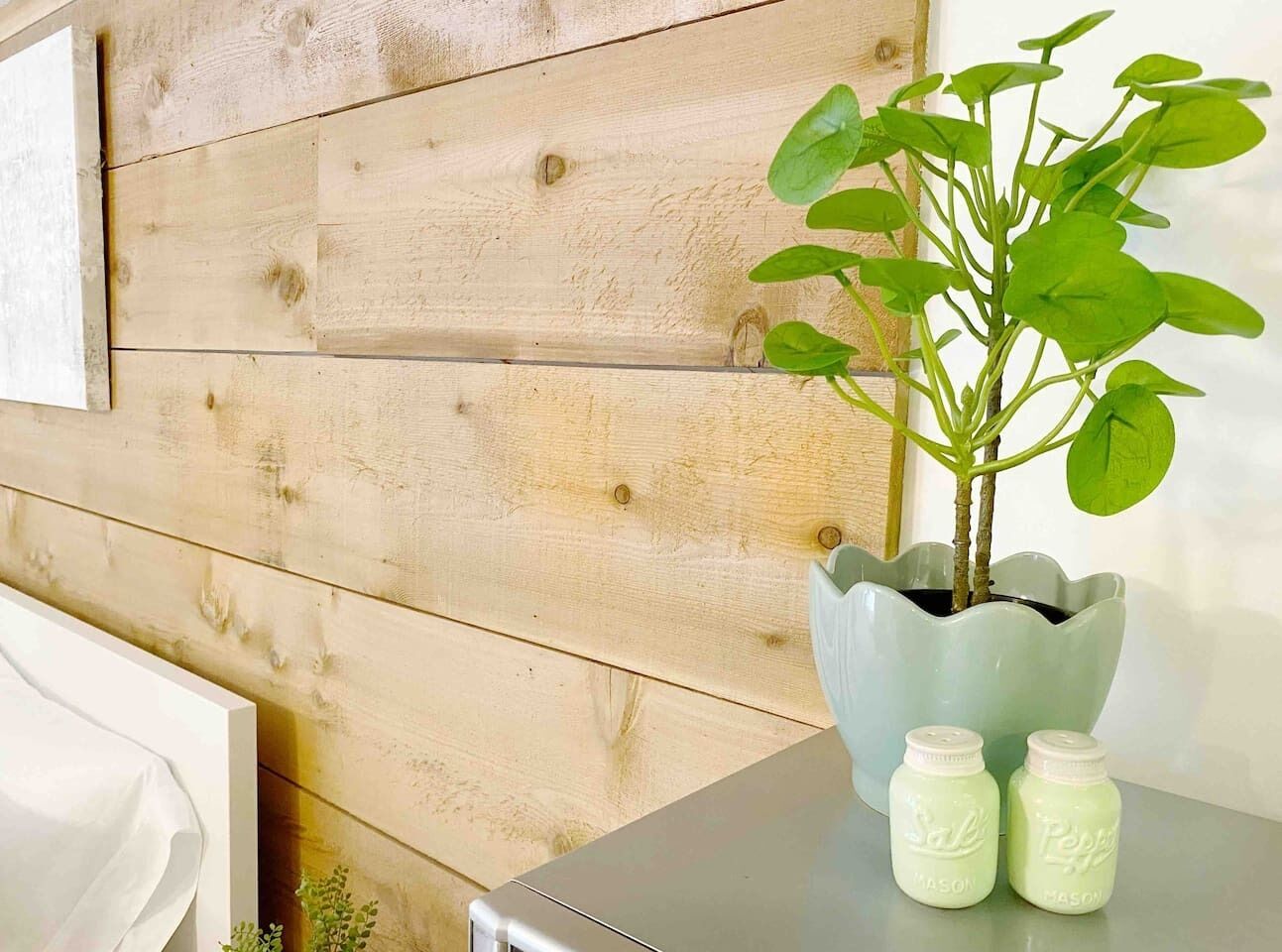 Une plante dans un pot vert, posée sur un mur en bois.